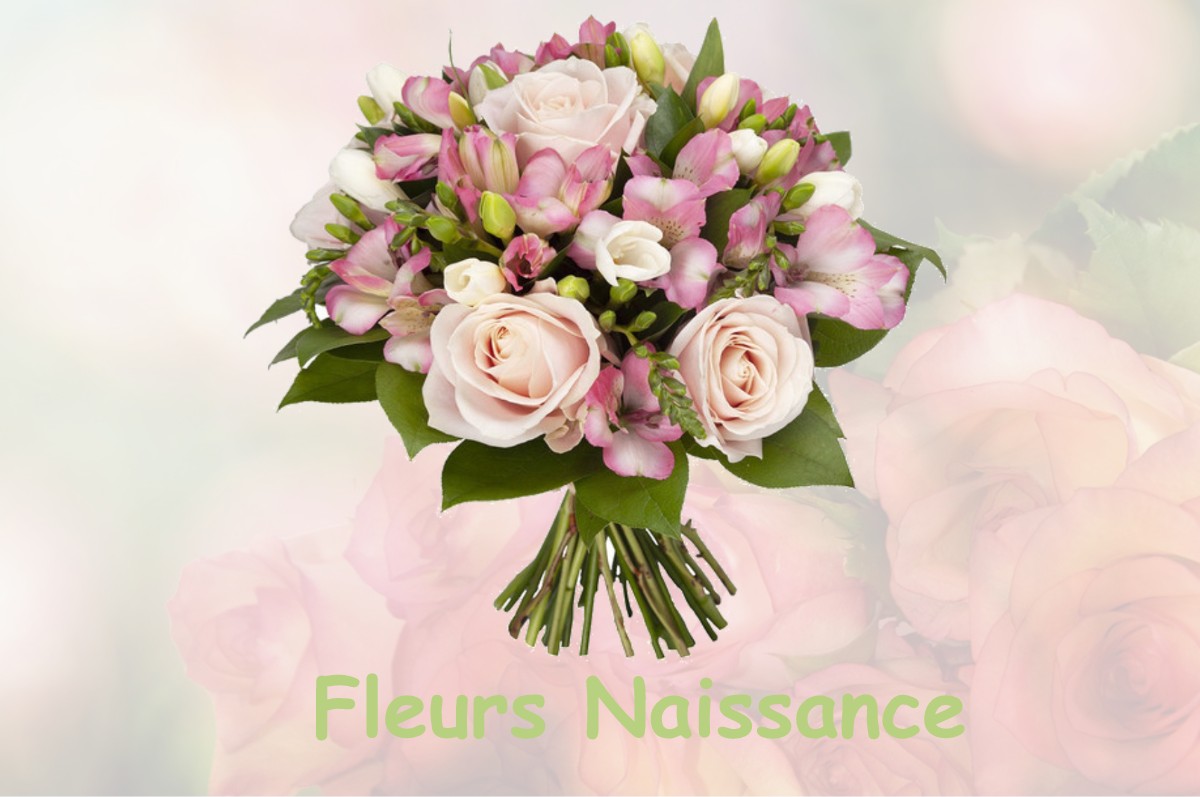 fleurs naissance BENESSE-MAREMNE