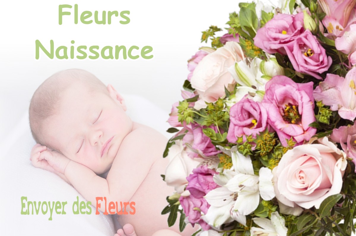 lIVRAISON FLEURS NAISSANCE à BENESSE-MAREMNE