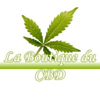 LA BOUTIQUE DU CBD BENESSE-MAREMNE 